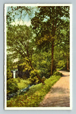 Biltmore NC-North Carolina Biltmore House Fall Bass Lake Vintage Postcard picture