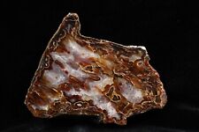 Red and White in Large Turkish Agate, Ankara, Turkey picture
