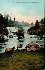 Olympia Washington Upper Tumwater Falls  Elk Water Fall Vintage Postcard  picture