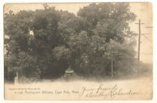 Cape Ann Massachusetts MA Postcard Annisquam Willows c1905 picture