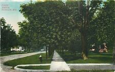 Plymouth Wisconsin~Forest Ave Homes, Sidewalk & Fire Hydrant c1907 picture