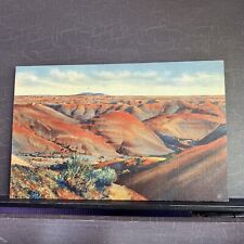 Painted Desert AZ Arizona Petrified Forest National Park Vtg Linen Postcard UNP picture