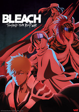 Bleach Anime Poster/Print Thousand Year Blood War Cour 2 Key Visual 7/8/2023 picture
