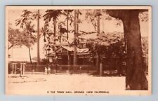 Noumea New Caledonia Pacific Island Town Hall, Gentlemen Vintage Postcard picture