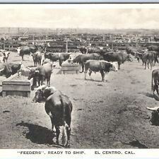 c1930s El Centro, Cali Cattle Feeders Albertype Postcard CA Davis Drug Store A88 picture