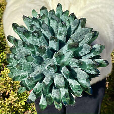 11.15LB Natural green quartz crystal cluster specimen crystal flower home decora picture
