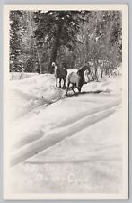 Ouray Colorado~Mountain Sheep In The Snow~Big Curved Horns~Real Photo PC~RPPC picture