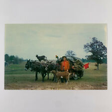 Postcard Colorado Pritchett  CO Orville Ewing 1961 Posted Chrome picture