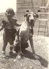 Black and White Photo 1940 Picture with  Dog  8 x 10 Reprint  A-5 picture