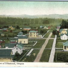 RARE c1900s Tillamook, OR Birdseye Town View Houses Postcard JS Lamar A158 picture