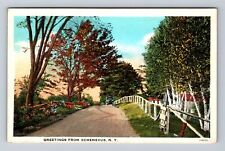 Schenevus NY-New York, Scenic Road Greetings, Antique Vintage c1933 Postcard picture
