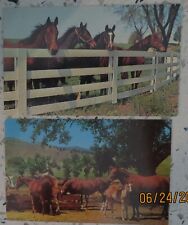 2 Vintage RPPC Postcards HORSEFriendly Gatherind Spring Scene Free Lance picture