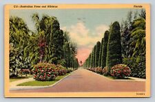 c1947 Australian Pines & Hibiscus Daytona Beach Cancellation VINTAGE Postcard picture