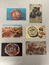  Petrified Forest National Park Arizona Lot of 6 Postcards picture