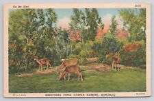 Greetings From Copper Harbor Michigan Animal Scene Deer Doe Forest 1938 Postcard picture