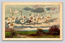 Old Antique Postcard Language of Flowers Lily PEACE Vintage 1910 picture