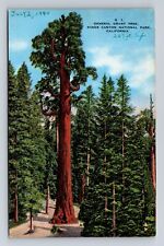Kings Canyon National Park, General Grant Tree, Series # G1, Vintage Postcard picture