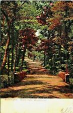 Wissahickon~Philadelphia Pa.~Scenic Tree Lined Bridle Path~Postcard~Posted c1908 picture