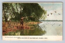 Toledo OH-Ohio, Duck Shooting In Maumee Bay, Antique Vintage c1907 Postcard picture