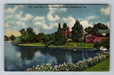 Jacksonville FL-Florida, Lake Marco And Homes, Southside, Vintage Postcard picture