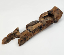 Theropod Dinosaur Limb Bone/Metatarsal Fossil - Hell Creek Fm. - Wibaux Co., MT picture