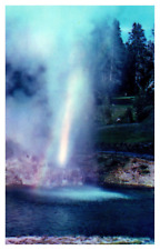 Yellowstone National Park WY Wyoming Riverside Geyser P541 Chrome Postcard picture