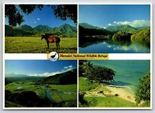 HI Kauai Hanalei National Wildlife Refuge Horse, Beach, Valley, Chrome Unp 6 x 4 picture