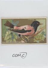 1910 ATC Bird Series T43 Piedmont Rose Colored Pastor 15wt picture