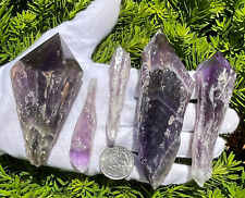 USA SALE SEE VIDEO 319g LOT AMETHYST SCEPTER WAND ROYAL ROOT DRAGON BAHIA BRAZIL picture
