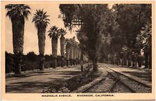 Magnolia Avenue in Riverside California CA Street View 1920s Postcard Albertype picture