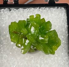 SUPERB LUSTROUS GREEN PYROMORPHITE CRYSTALS: DAOPING MINE, CHINA- GREAT TN picture