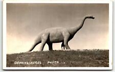 RPPC Postcard Brontosaurus Dinosaur Park Rapid City South Dakota SD UNP picture