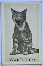 Yawning Cat. Vintage Postcard. Wake Up picture