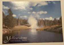 Riverside Geyser Yellowstone National Park Postcard 4x6 picture