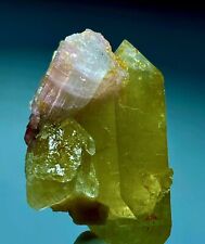 242 Carats Natural Terminated Tourmaline With Quartz Crystal Specimen @Afghan picture