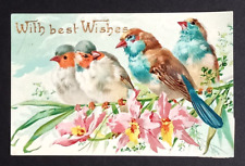 With Best Wishes Four Blue Birds on Branch w/ Flowers Gel Coated Postcard c1900s picture