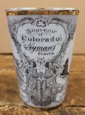 Colorado-Hyman's Denver - Victoria Carlsbad Austria Porcelain Souvenir Cup picture