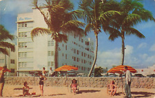 Miami Beach Florida, Blue Waters Hotel Sunbathers Umbrellas Palms, VTG Postcard picture