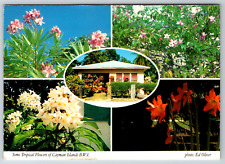 c1960s Tropical Flowers Cayman Islands B.W.I. Multi-View Vintage Postcard picture