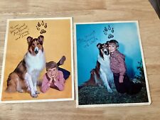 Two Vintage 8 x 10 Inch Color Photos of Timmy & Lassie (Jon Provost), 1962; 1964 picture