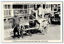 Gaspe Quebec Canada Postcard Dog Cart on Duty Local Mail c1950's Vintage picture