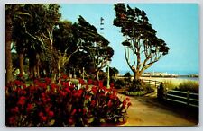 Palisades Park Santa Monica CA Postcard c1957 Overlooking Pacific Ocean Chrome picture