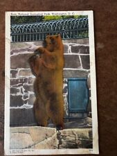 Postcard: Bear National Zoological Park, Washington, D. C. Linen, Vintage picture