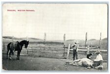 c1910's Branding Cowboys Fence Western Nebraska NE Posted Antique Postcard picture