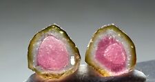 4.65 Carats Bi Color Tourmaline Slices From Afghanistan  picture