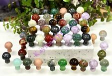 Wholesale Lot 50 Pcs 20mm Mixed Crystal Mushroom Healing Energy picture
