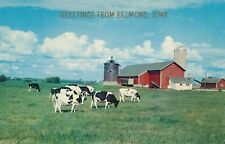 Greetings from Belmond, Iowa Farm with Holstein Cows 1960 posted postcard picture
