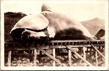 1940s Wright Whale taken Kodiak Island Photo Postcard RPPC JC7 picture
