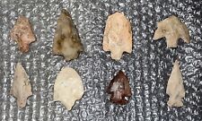 Authentic Prehistoric Native American Indian Artifacts - 8 Floridian Points picture