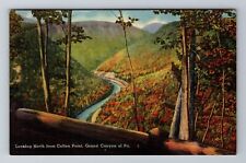 Grand Canyon PA-Pennsylvania, Looking North From Colton Point, Vintage Postcard picture